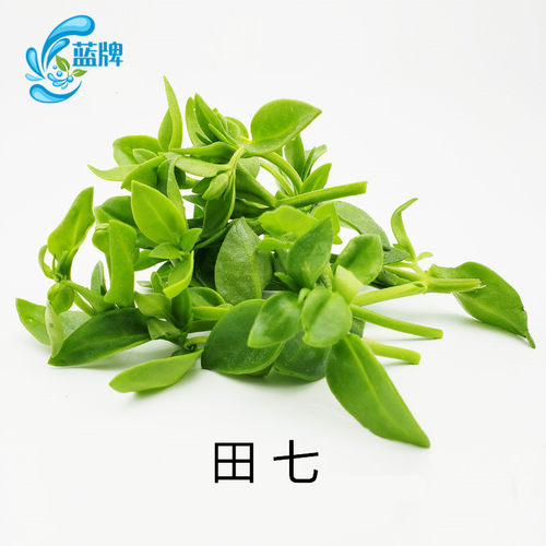 【蓝牌】新鲜田七叶三七叶山漆餐厅 西餐 酒店煲汤菜400g - 图3