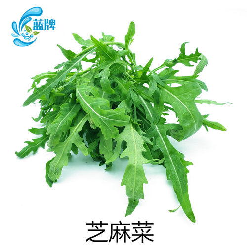 【蓝牌】新鲜芝麻菜火箭菜 新鲜蔬菜 Arugula沙拉菜色拉苦菜250g - 图3
