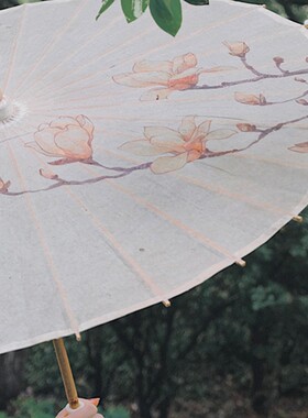 湖南非遗油纸伞清明上河图山海