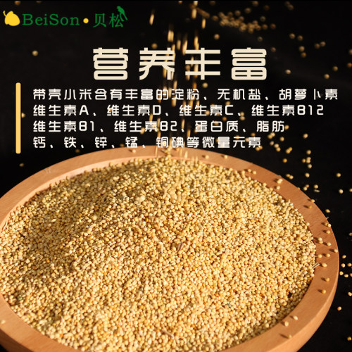 鹦鹉鸟粮饲料黄谷子带壳小米新粮食玄凤专用虎皮牡丹中小型鸟食 - 图2