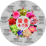 Восточный Sencao Taiwan Yu Dep Shame Gel Dog