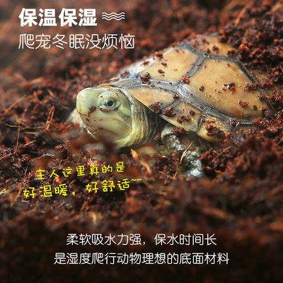 爬宠垫材保湿水苔苔藓乌龟冬眠爬虫蜥蜴蜘蛛角蛙造景青苔过冬用品 虎窝淘