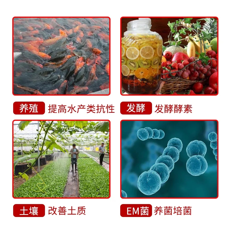 畜牧红糖养殖用10斤散装水产专用猪牛羊兽用农用发酵EM菌红糖粉-图2