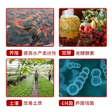 Животные пастырские коричневые глюкозы