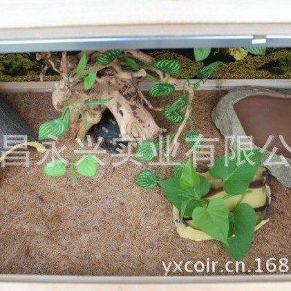 饲养陆龟猫棕垫爬虫蛇椰椰蜥蜴垫箱狗吸湿棕垫缸垫材,淘宝优惠券,粉丝福利购,淘宝优惠卷