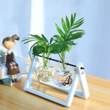 Глаза -Защита гидропонной растения стеклянная бутылка Гидравлическое настольное рабочие столы декоративные общежития офисная комната Зелено