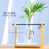 Глаза -Защита гидропонной растения стеклянная бутылка Гидравлическое настольное рабочие столы декоративные общежития офисная комната Зелено