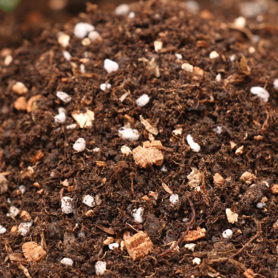 营养土泥炭种花种菜有机果蔬盆栽育苗基质腐殖土包邮大包包邮 - 图0