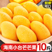 Hainans small bench farm mango 10 catty fresh now the small Taimong should make the fruit special the whole box sweets during the season