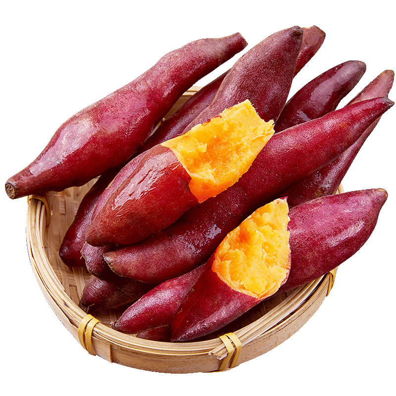 临安天目山小香薯5斤新鲜板栗红薯 王小二番薯