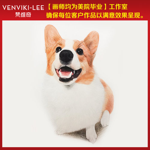 彩铅画像定制宠物人物素描照片转手绘生日礼物纪念品头像狗狗原创 - 图2