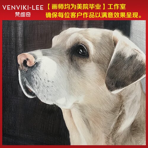 宠物画像定制狗狗肖像画头像照片纪念手绘素描画像彩铅代画原创 - 图0