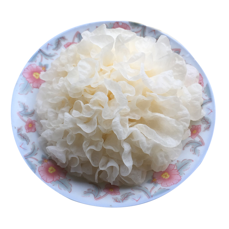 福建古田新鲜银耳鲜活生白木耳出胶孕妇软糯活鲜雪耳6朵盒装生,淘宝优惠券,粉丝福利购,淘宝优惠卷