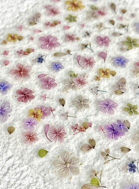 彩色仿真干花美甲贴纸