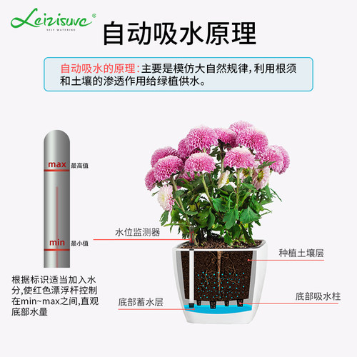 懒人自吸水花盆免浇水植物盆方形塑料创意绿萝储水双层防烂根专用 - 图1