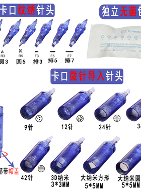 电动mts纳米导入蓝色卡口微针
