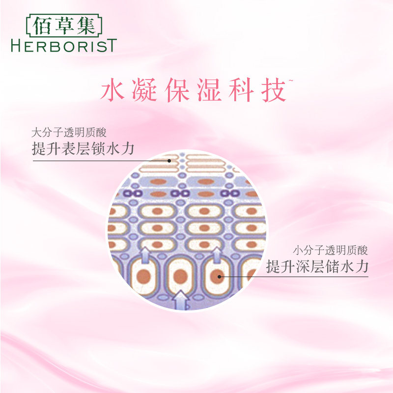  herborist佰草集善缘专卖乳液/面霜