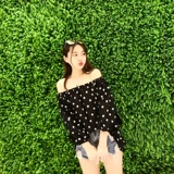 Зеленое растение Стенка Стены Растение Гяна Украшение