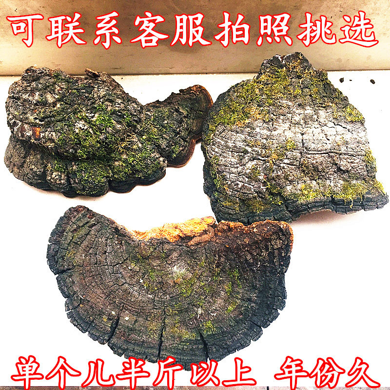 神农架桑树桑黄野生灵芝菌中药材养生茶正品250g胜长白山西藏桑黄