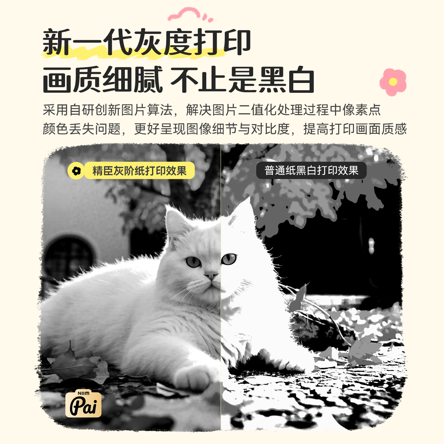 精臣B21/B21Pro/B2Pro/B1/B31手帐标签纸可爱彩色花色标签打印纸相片纸照片复古三防热敏不干胶手账花纹贴纸,淘宝优惠券,粉丝福利购,淘宝优惠卷