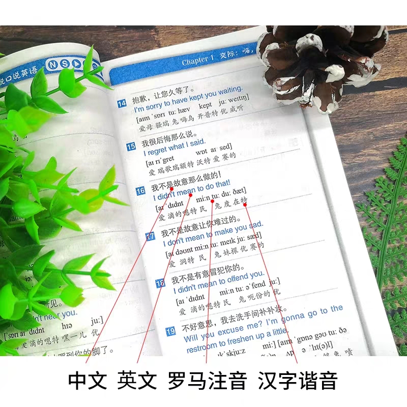 零基础学英语教材 零起点单词 语法大全 口语初中高中