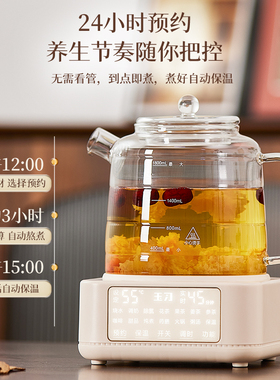 多功能炖煮一体家用全玻璃养生壶新款智能全自动恒温花茶壶无涂层