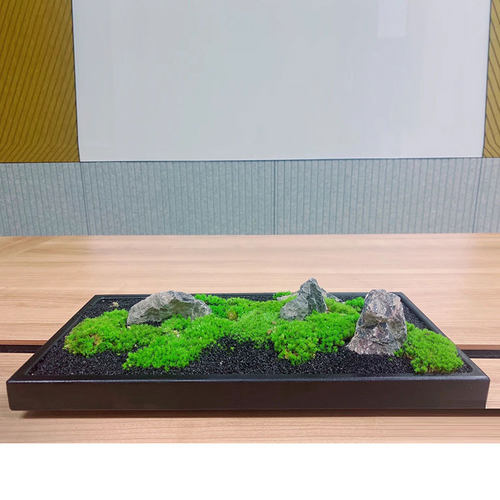 永生苔藓微景观长方形托盘样板间酒店玄关长条桌餐桌书房装饰包邮 - 图2