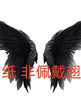 高级黑色之翼贴纸客厅卧室出租房书房室内墙面装饰自粘贴日系网红