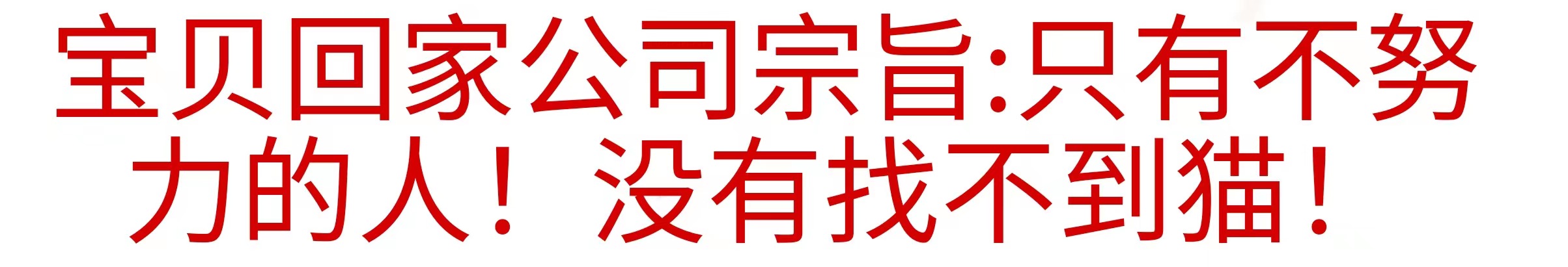 宝贝回家专业寻宠团队找猫寻猫侦察猫丢了怎么去找宠物救援找狗-图0