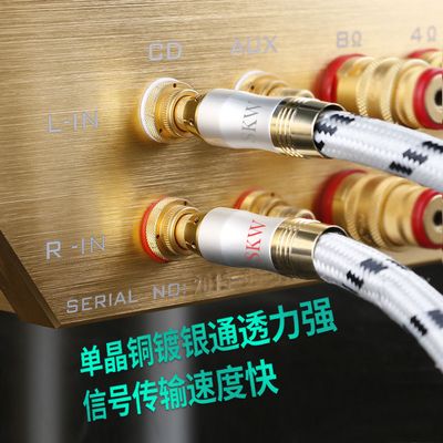 内幕测评skw双莲花头音频线2rca真的好吗？怎么样呢？图文剖析真相怎么样？谁用过评价？