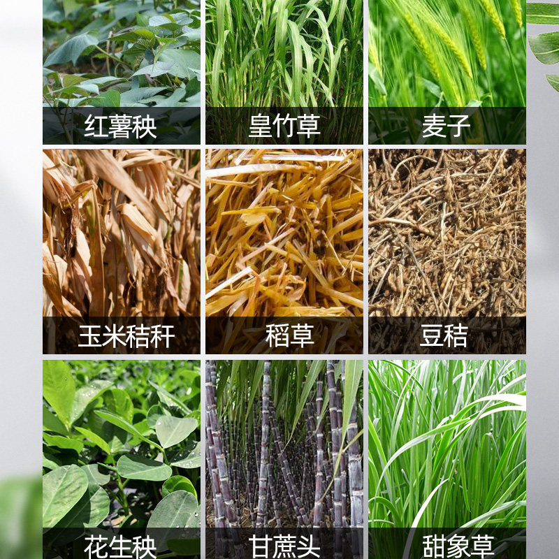 自动铡草揉丝机家用养殖牛羊干湿两用碎草机切草机玉米秸秆铡草机,淘宝优惠券,粉丝福利购,淘宝优惠卷