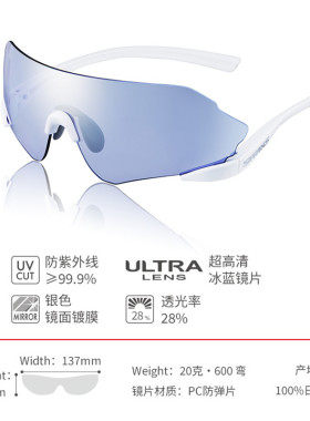 墨镜太阳眼镜swans偏光防紫外线