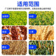 60 multi-function household small threshing machine