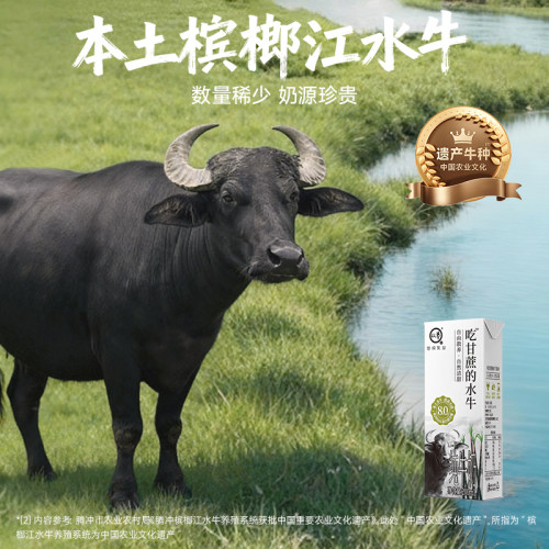 悠纯吃甘蔗的水牛奶200ml*12盒*2箱全脂牛奶学生4.0g蛋白 - 图0