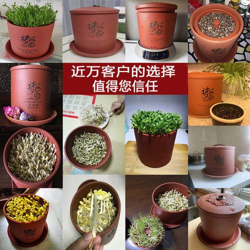 食品级紫砂豆芽罐生豆芽机家用豆芽发芽神器发芽豆芽机高端送礼品 - 图0