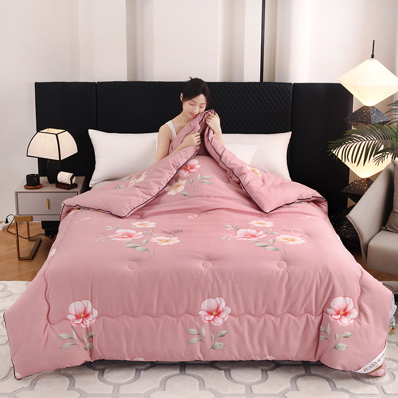 FUANANFANGZHI家用春秋被单双人空调被四季被 a - 图2