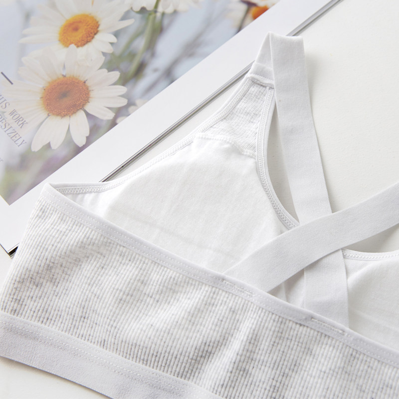 夏季少女内衣素色纯棉背心运动文胸 初寓内衣文胸