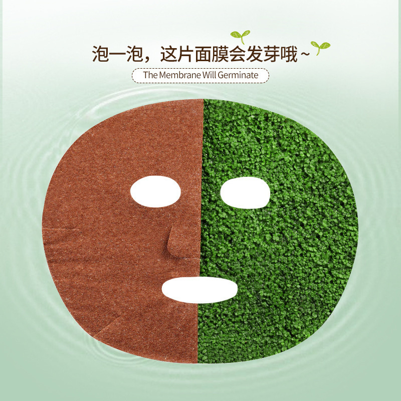泊泉雅昊达专卖店婴儿肌海藻 面膜补水盈润保湿滋养7片盒装 面膜 面部护理0