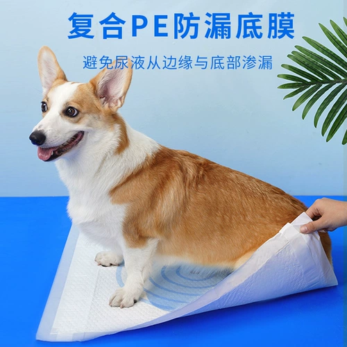 MO PET PET мочеиспускание подгузники для собак тренировочные мочи мочи мочи, без подгузника с мокрой собакой, индуцированная подушка для целевого сердца