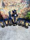 Bohemian Murano hand-painted gilt collection of furnishings, a pot and six-cup wine set, please consult before bidding.