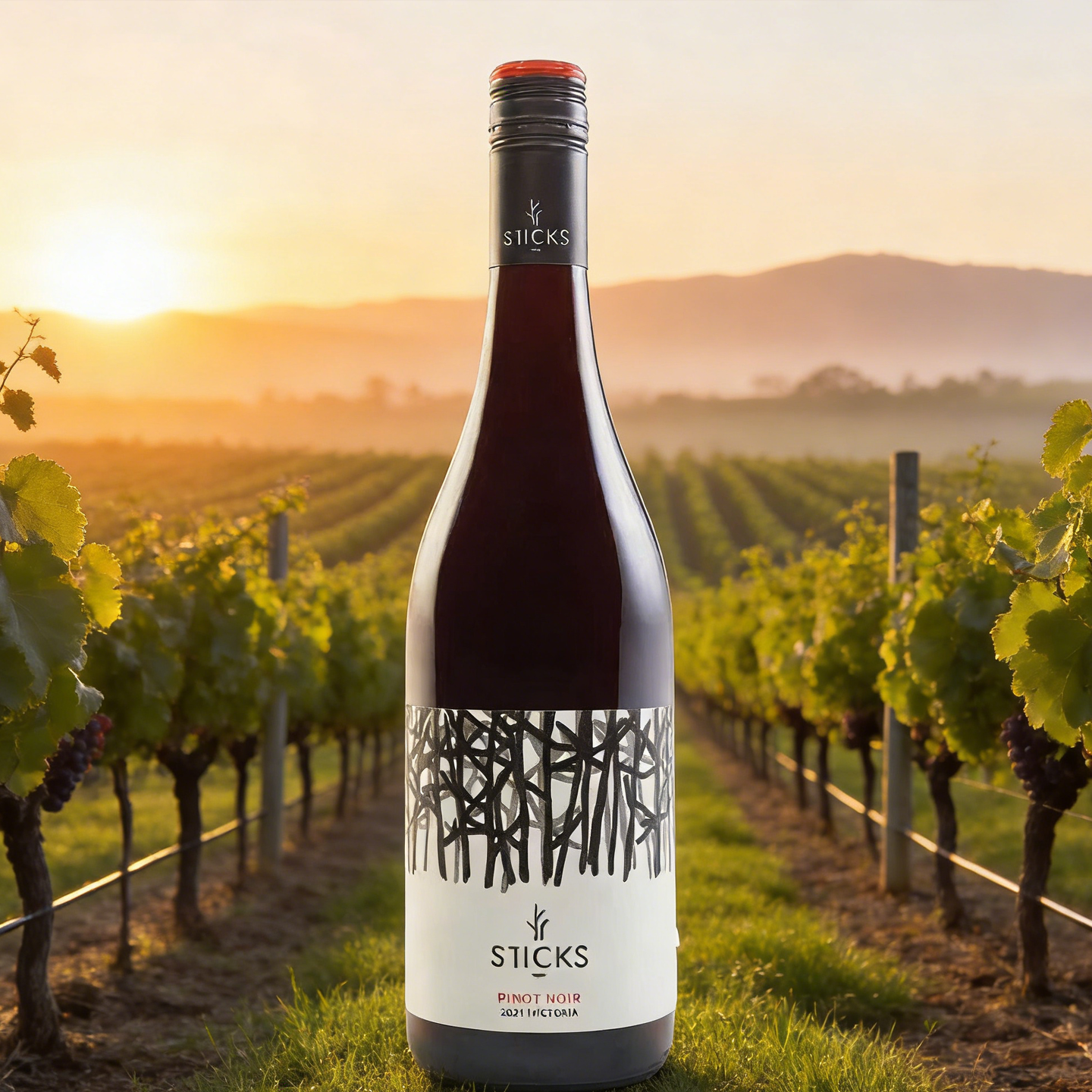 澳洲原瓶进口 Sticks/思绨可斯雅拉河黑皮诺干红葡萄酒 13.5%vol,淘宝优惠券,粉丝福利购,淘宝优惠卷