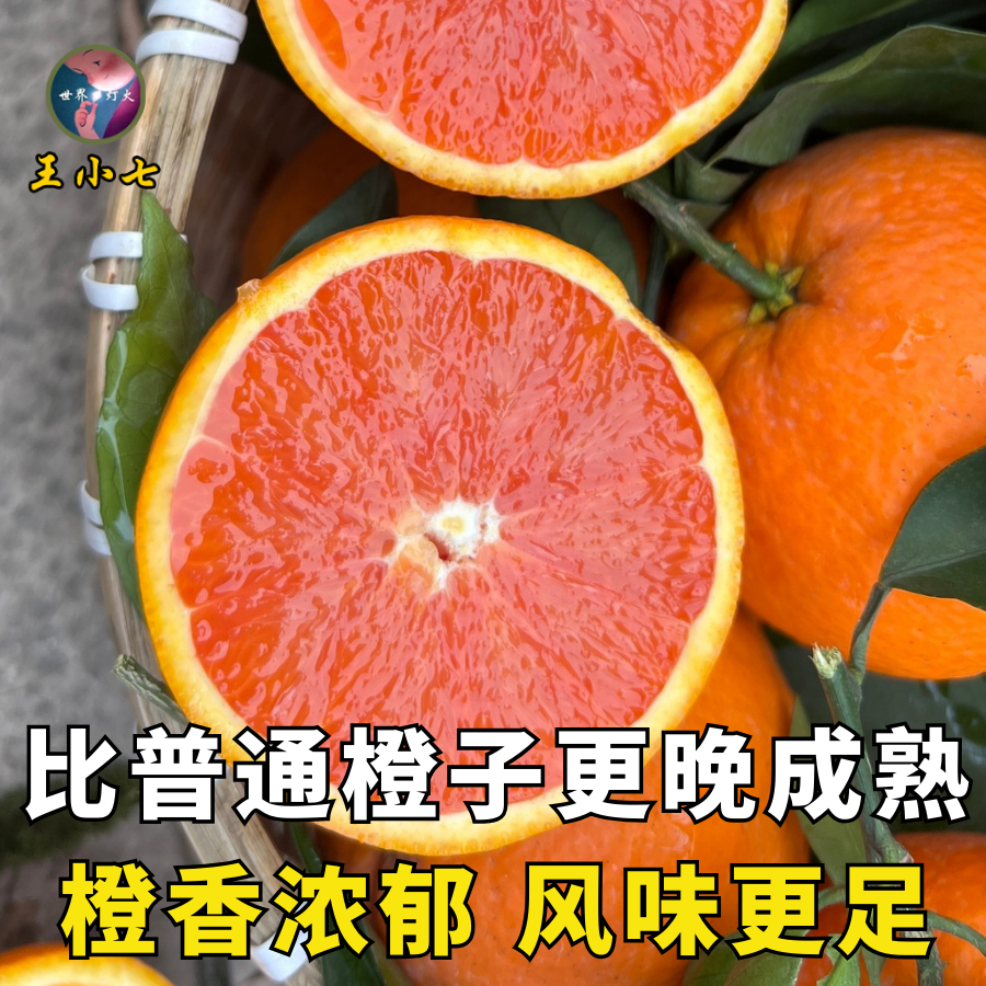 湖北秭归正宗中华红橙宜昌新鲜水果橙子红心血橙当季红肉橙王小七,淘宝优惠券,粉丝福利购,淘宝优惠卷