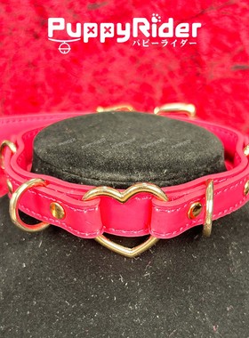 PUPPYRIDER温感变色项圈