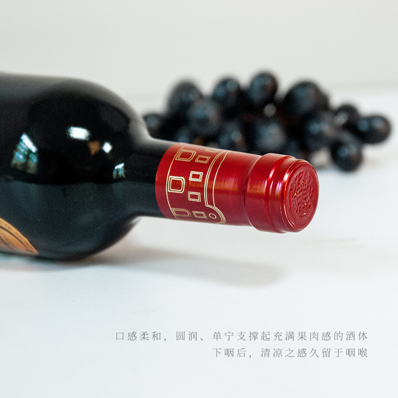 皮杜酒庄红葡萄酒2012CHATEAU PITOT 2012 BORDEAUX AOC ROUGE - 图1