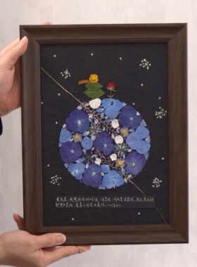 小王子压花相框摆件情人节礼物生日礼物手作原创定制蓝色星球顺丰