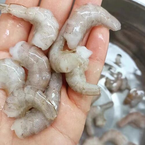 顺丰包邮北水新鲜冻河白虾麦穗热带鱼食饲料地图鹦鹉银龙狗头河豚 - 图0