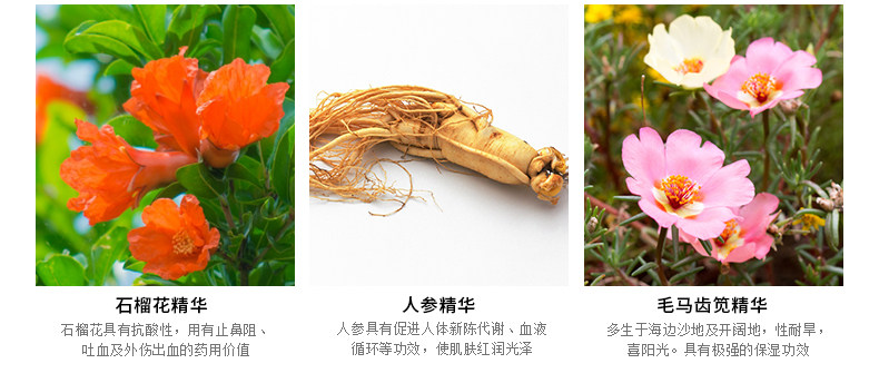 dhc【进口保税*2倍购买】高护唇膏 DHC海外润唇膏