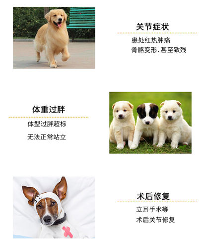 德国关节强微乳剂维福i12狗关节软骨素犬猫补钙髌骨错位外扒500ml