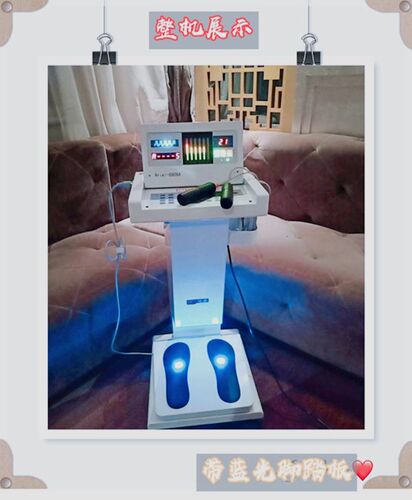LED健康管理仪诶茵项诶美亦健睿美ain康a丽氏福健按摩理疗 - 图1