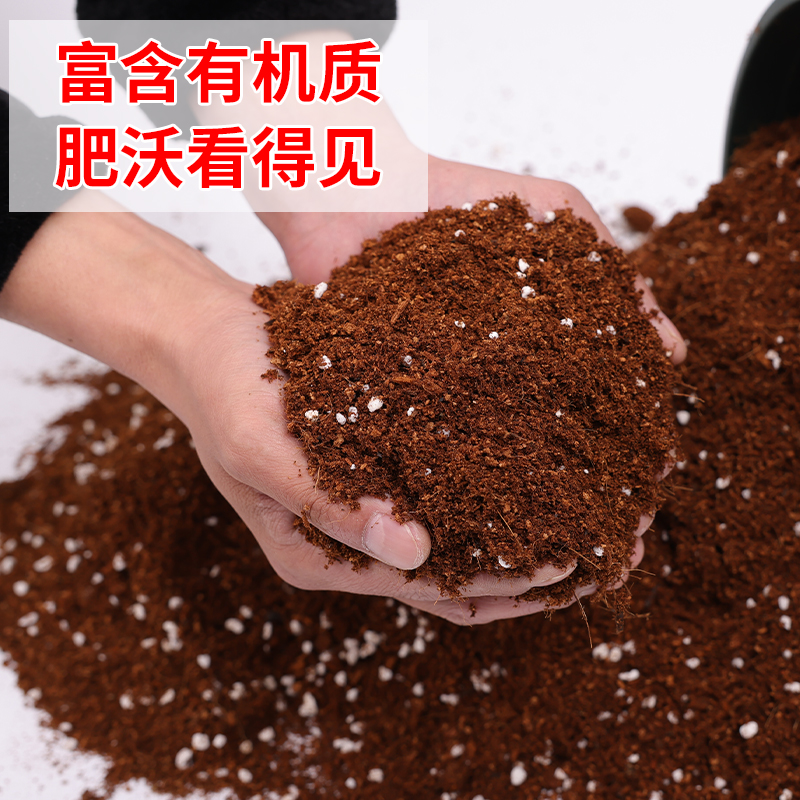 红豆杉专用土盆栽专用营养土通用弱酸性泥碳土花泥绿植沙质肥料土 - 图2